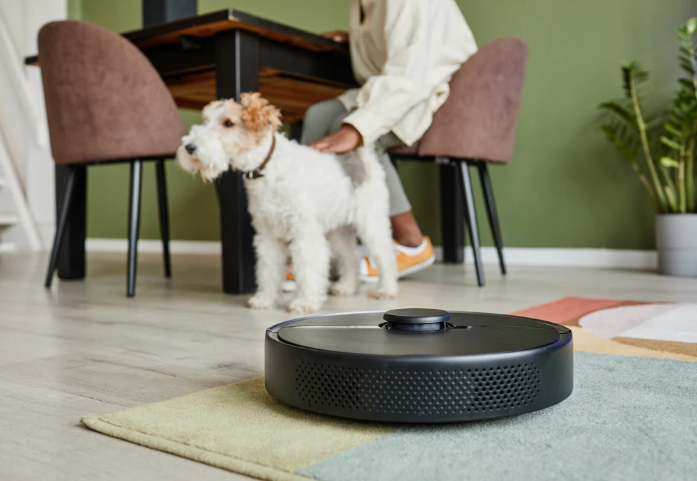 vacuum cleaning robot